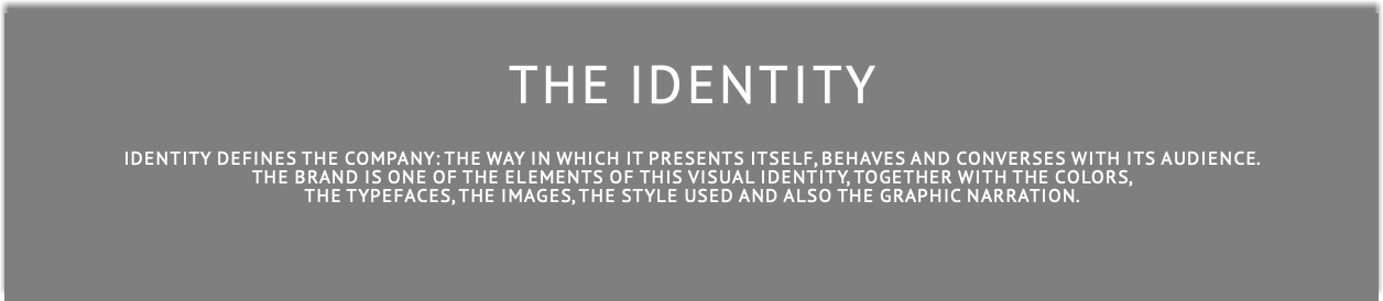  THE IDENTITY Identity defines the company: the way in which it presents itself, behaves and converses with its audience. The brand is one of the elements of this visual identity, together with the colors, the typefaces, the images, the style used AND ALSO the graphic narration.